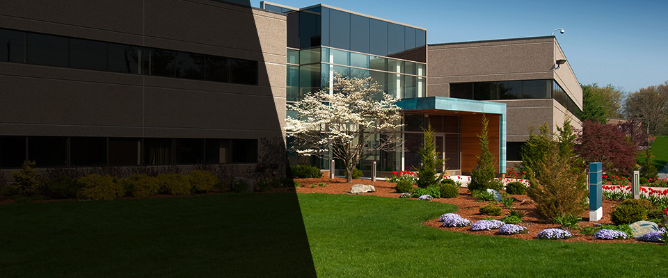 Santa Ana Landscapers