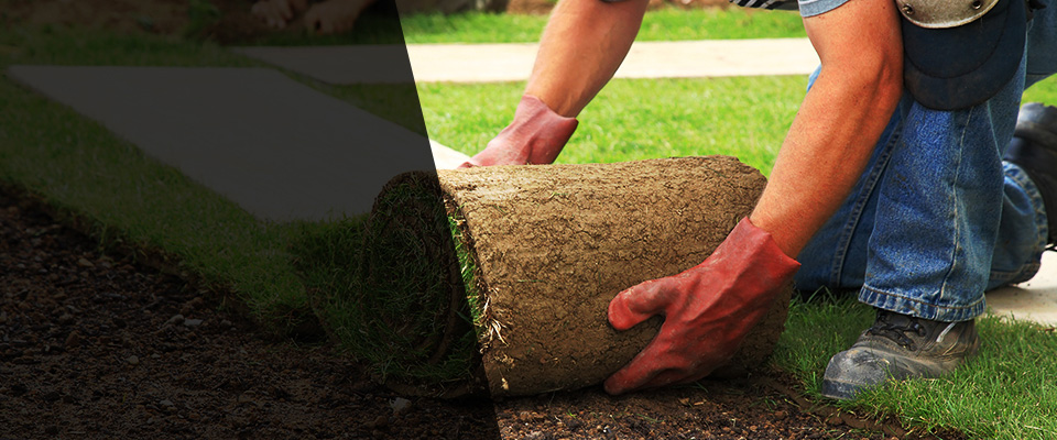 Santa Ana Landscapers